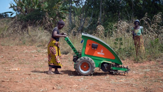 A female using Aftrak system for deep bed farming